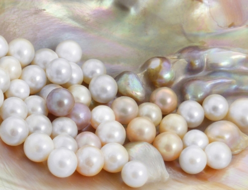 Princess Diana’s Pearl Earrings: Story Behind the Glamorous Jewelry