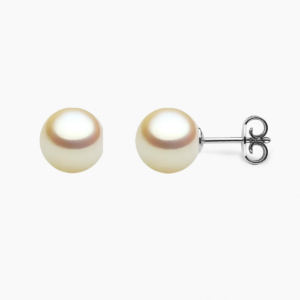 Golden Akoya pearl stud earrings 8.5mm with 18k white gold