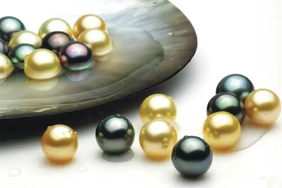 What Kind Of Pearl Jewelry Can Tahitian Black Pearls Be Made Into?