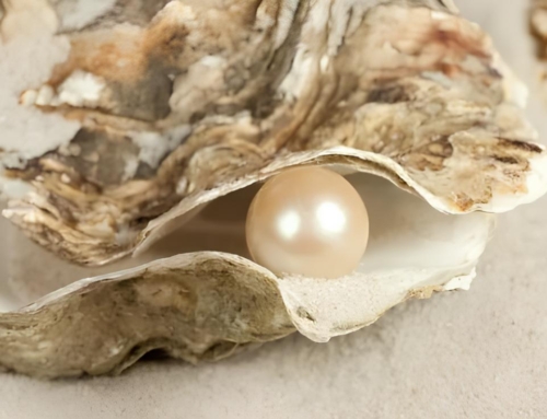 What Is A Pearl To An Oyster ?