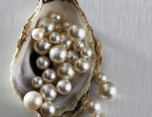 Mother of Pearl vs Pearl: The Ultimate Styling and Durability Guide