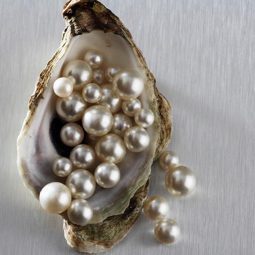 Mother of Pearl vs Pearl