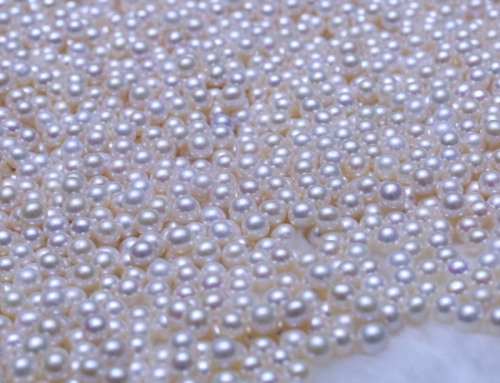 The Ultimate Japanese Akoya Pearls Styling Guide: Modern Elegance and High Luster